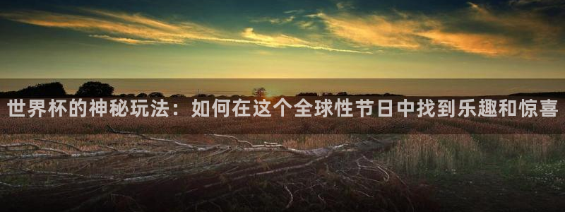 2026世界杯预选赛：世界杯的神秘玩法：如何在这个全球性节日中找到乐趣和惊喜