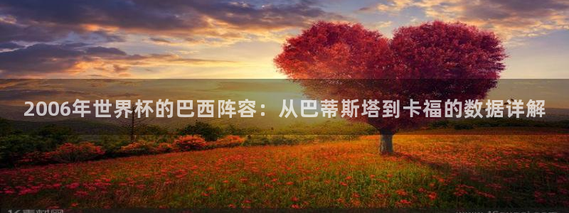 世界杯赛程2026：2006年世界杯的巴西阵容：从巴蒂斯塔到卡福的数据详解
