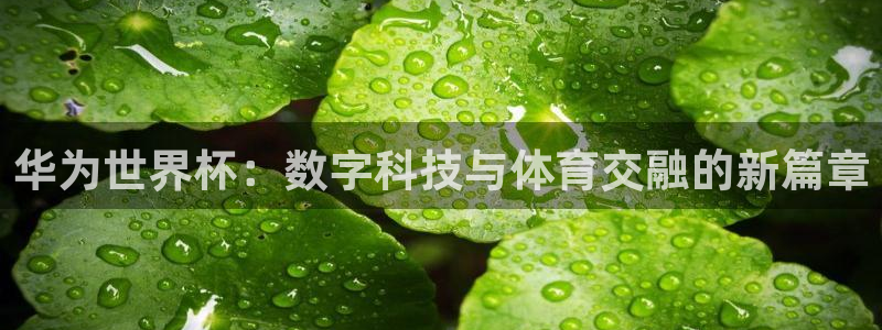 世界杯对阵图2026：华为世界杯：数字科技与体育交融的新篇章
