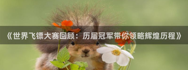 2026年世界杯赛程表时间：《世界飞镖大赛回顾：历届冠军带你领略辉煌历程》