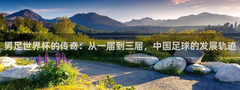 世界杯预选赛欧洲赛区积分榜：男足世界杯的传奇：从一届到三届，中国足球的发展轨迹