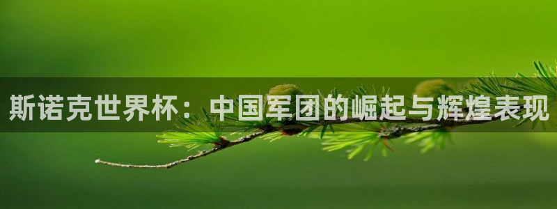 世界杯女足直播：斯诺克世界杯：中国军团的崛起与辉煌表现