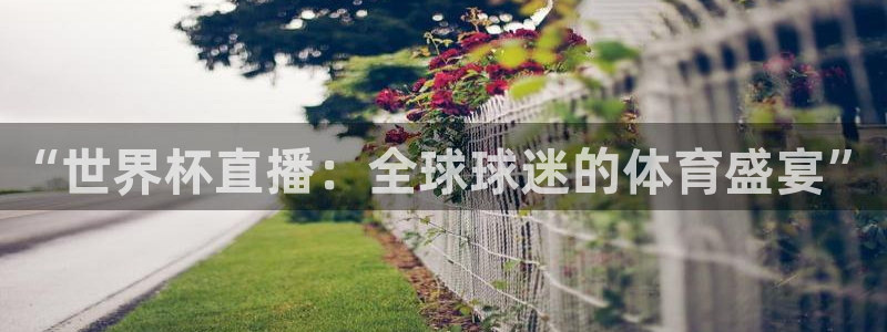世界杯预选赛欧洲赛区赛程：“世界杯直播：全球球迷的体育盛宴”