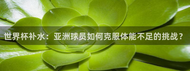2026世界杯赛：世界杯补水：亚洲球员如何克服体能不足的挑战？