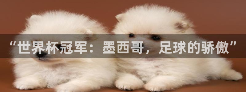 足球世界杯时间：“世界杯冠军：墨西哥，足球的骄傲”
