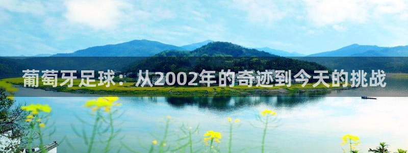 世界杯官网：葡萄牙足球：从2002年的奇迹到今天的挑战