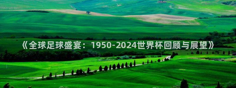 世界杯赛程表：《全球足球盛宴：1950-2024世界杯回顾与展望》