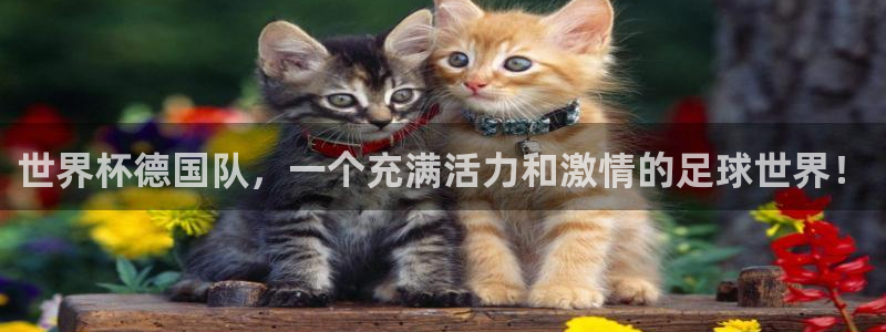 今天所有足球赛程表：世界杯德国队，一个充满活力和激情的足球世界！