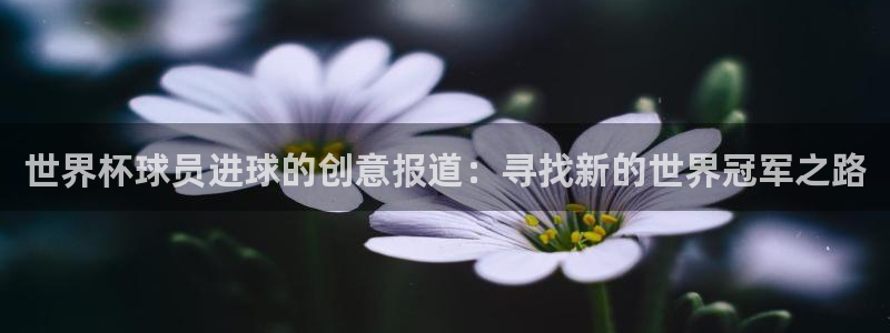 2026世界杯买球：世界杯球员进球的创意报道：寻找新的世界冠军之路