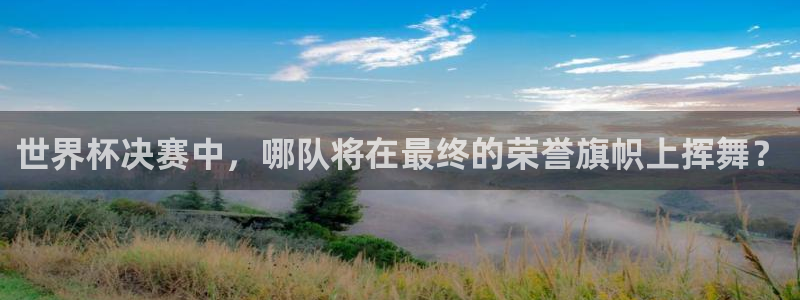 预选赛世界杯：世界杯决赛中，哪队将在最终的荣誉旗帜上挥舞？