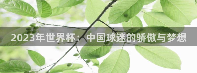 2026世界杯亚洲区预选赛：2023年世界杯：中国球迷的骄傲与梦想