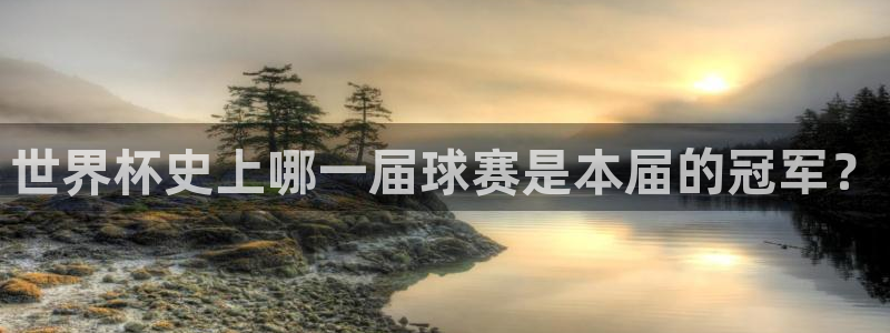 世界杯今年：世界杯史上哪一届球赛是本届的冠军？